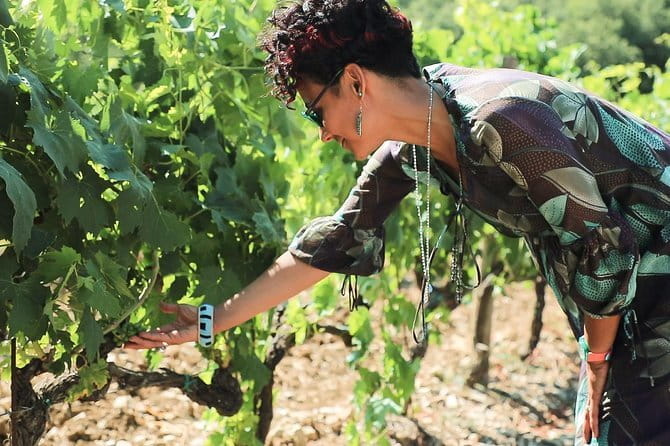Chianti Wine Tour from Florence - The Via Chiantigiana makes the ride worthwhile