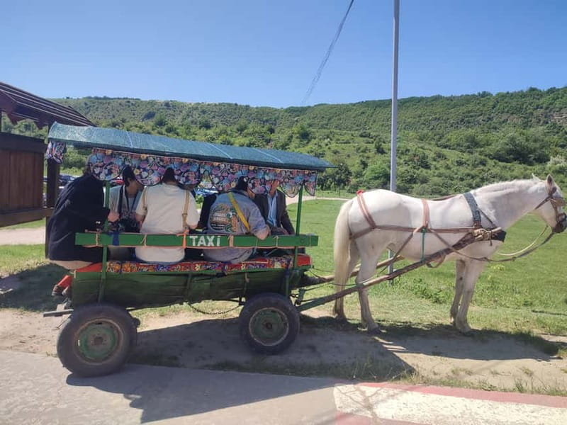 Chisinau: Cricova Winery, Curchi Monastery, & Old Orhei Tour - Key points to know before you book