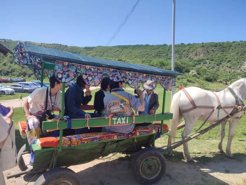 Chisinau: Cricova Winery, Curchi Monastery, & Old Orhei Tour - Who should take this tour?