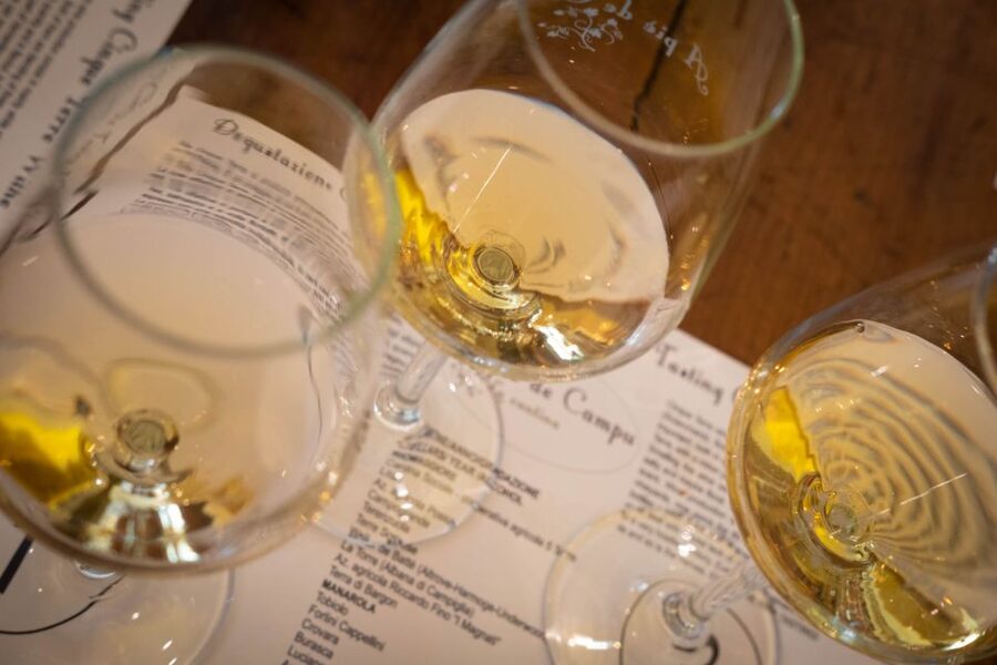 Cinque Terre: Wine Tasting and Walking Tour - Why Cinque Terre wine deserves your attention