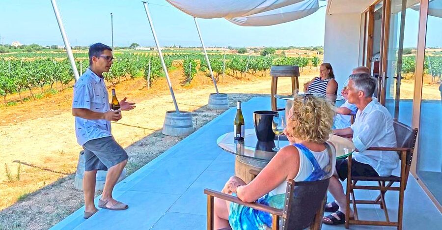 Ciutadella de Menorca: Family Winery Tour with Wine Tasting - A family winery with Menorca in every glass