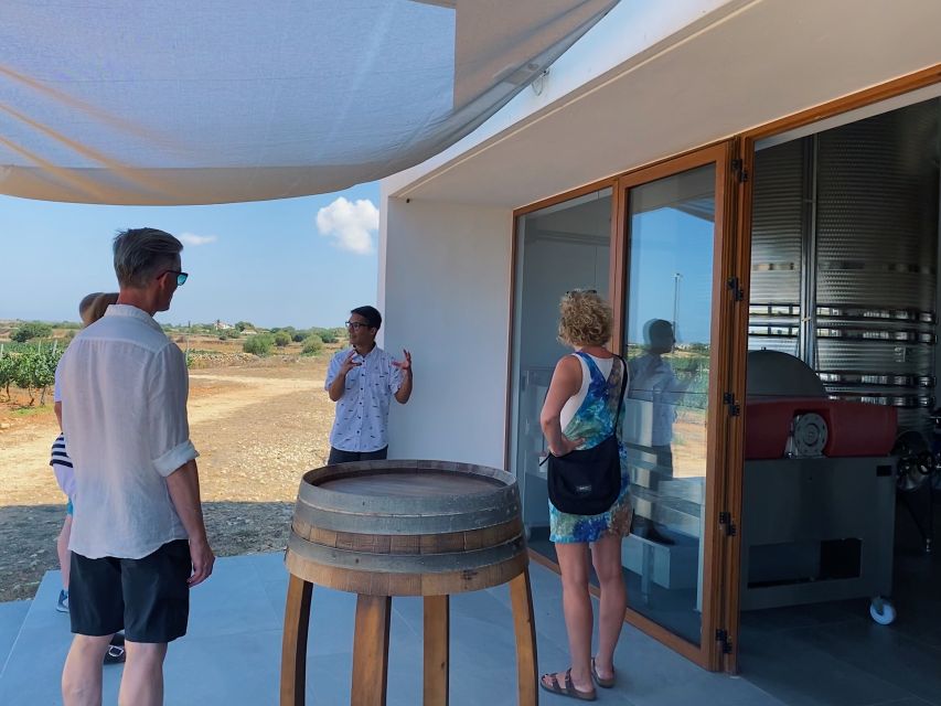 Ciutadella de Menorca: Family Winery Tour with Wine Tasting - A seated tasting with white wine, red wine, and vermut