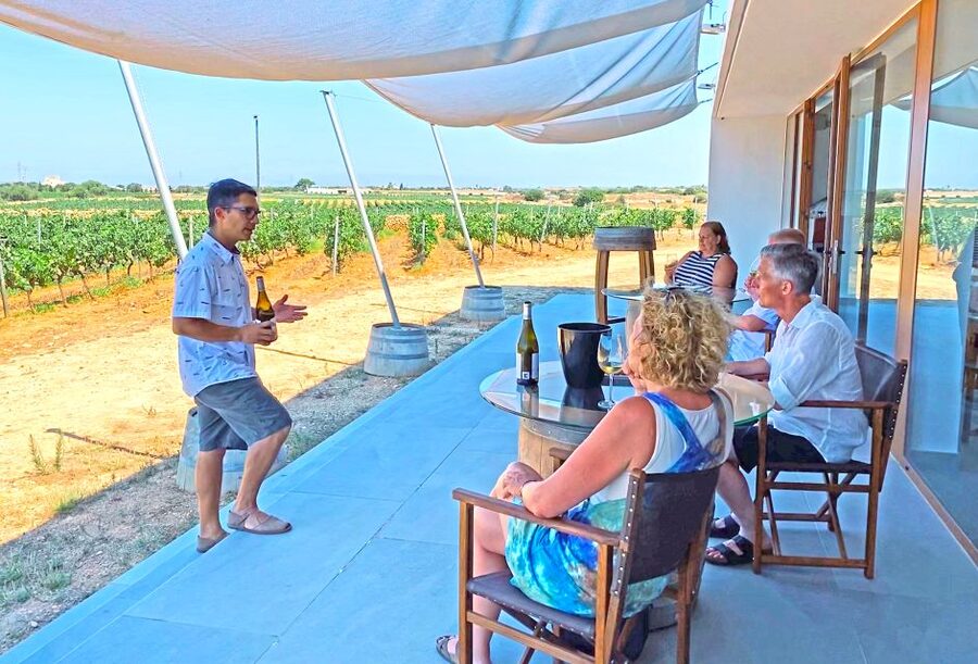 Ciutadella de Menorca: Family Winery Tour with Wine Tasting - Walking the vines before the tasting