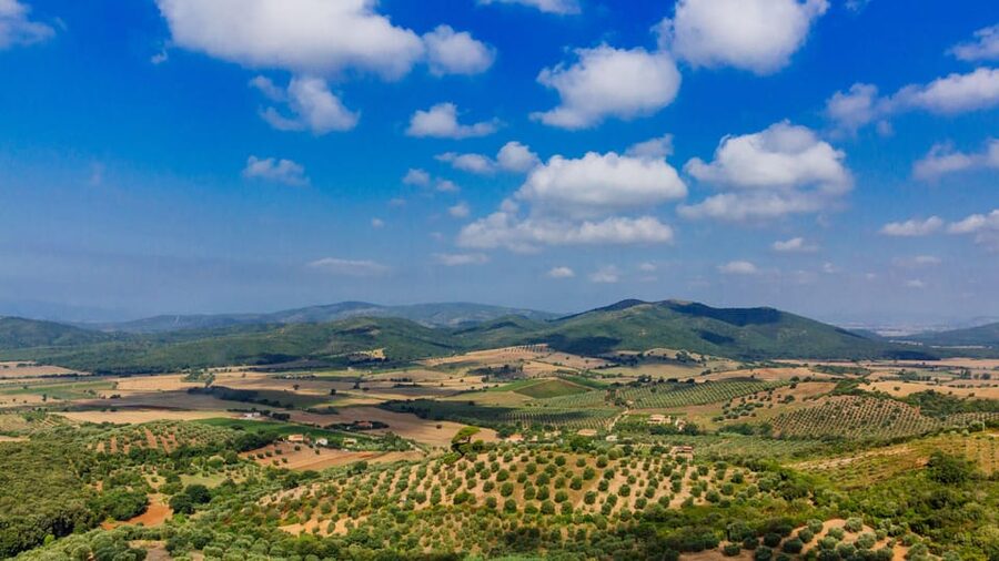 Civitavecchia: Tuscany Full-Day Guided Trip w/Wine Tasting - Meeting your guide at Civitavecchia port