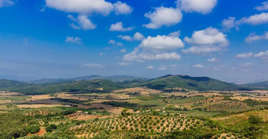 Civitavecchia: Tuscany Full-Day Guided Trip w/Wine Tasting - Montemerano: a compact medieval start