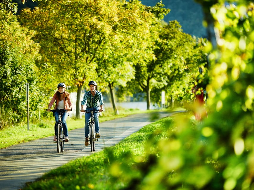 Cochem: Bike and Boat Tour with Picnic and Wine Tasting - Price and value at $116 per person