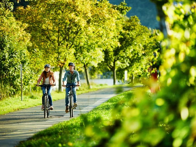 Cochem: Bike and Boat Tour with Picnic and Wine Tasting - Starting at the Cochem KD Ticket Office