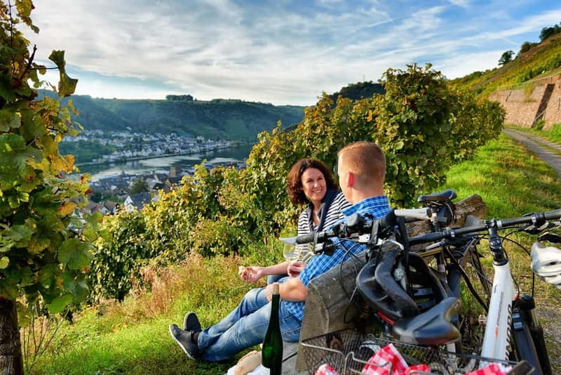 Cochem: Bike and Boat Tour with Picnic and Wine Tasting - What the bicycles are really like