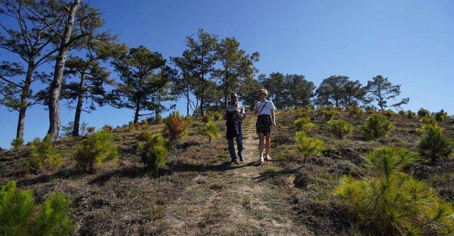 Coffee - Wine - Tea Da Lat's Agricultural Treasures Tour - Why this Da Lat day works so well