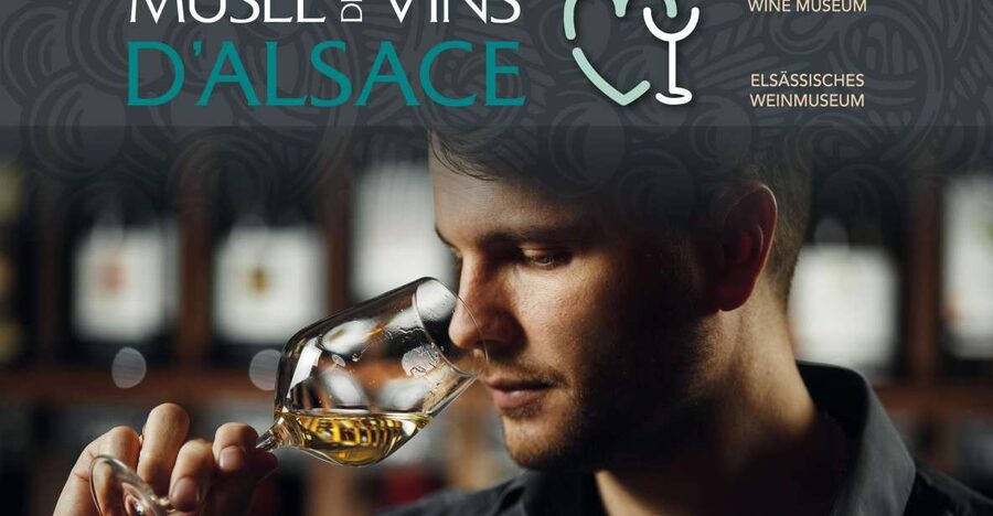 Colmar: Alsace Wine Museum Entrance Ticket - Beginning with the work of the vine
