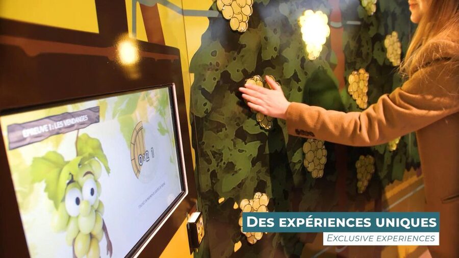 Colmar: Alsace Wine Museum Entrance Ticket - Access, timing, and planning your visit