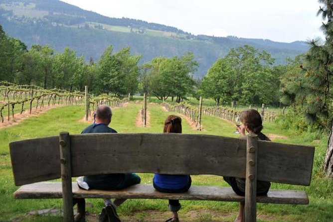 Columbia Gorge Waterfalls & Wineries from Portland: All-Inclusive Afternoon Tour - Wy’East Vineyards and Columbia Gorge wine