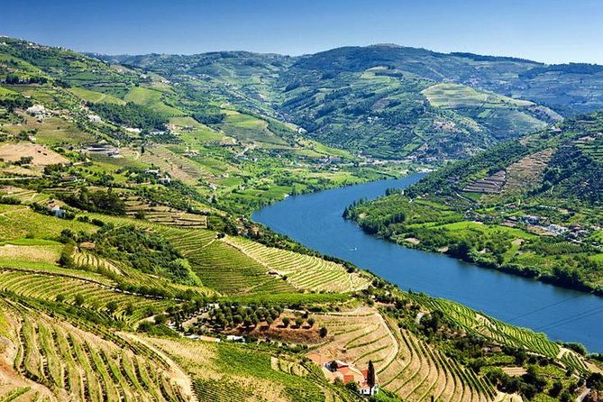 Complete Douro Valley Wine Tour with Lunch, Wine Tastings and River Cruise - A full Portuguese lunch with Douro wine