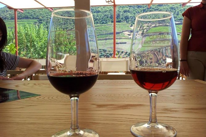 Complete Douro Valley Wine Tour with Lunch, Wine Tastings and River Cruise - The São Cristovão do Douro viewpoint