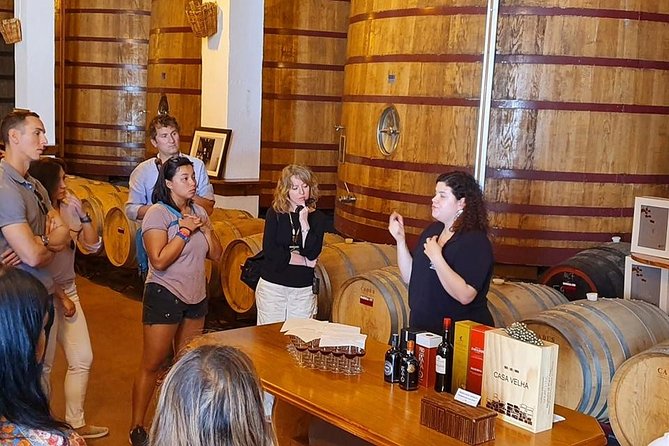 Complete Douro Valley Wine Tour with Lunch, Wine Tastings and River Cruise - The guides make a real difference