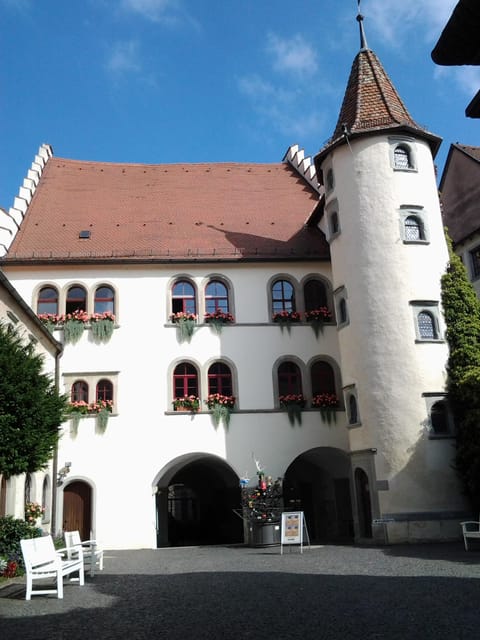 Constance: Public city tour with wine tasting - Harbor, Stadtgarten, and the first pours