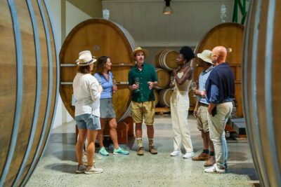 Constantia Wine Walk Storytelling Vineyard Tour with Lunch
