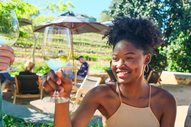 Constantia Wine Walk Storytelling Vineyard Tour with Lunch - Fitness, Weather, and What to Bring