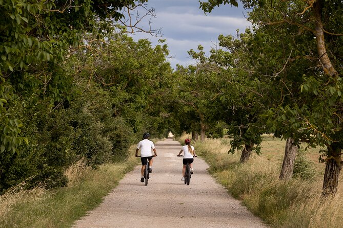 Cortona - eBike tour and wine tasting in the Val di Chiana [+40€] - A closer look at the half-day schedule