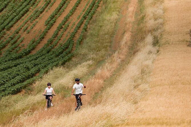 Cortona - eBike tour and wine tasting in the Val di Chiana [+40€] - Who will enjoy this most
