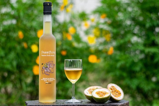 Costa Rica Central Valley Wine, Beer, and Mead Tour and Tasting - Key points to know