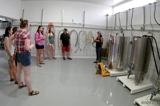 Costa Rica Central Valley Wine, Beer, and Mead Tour and Tasting - Tasting honey wine and craft beer