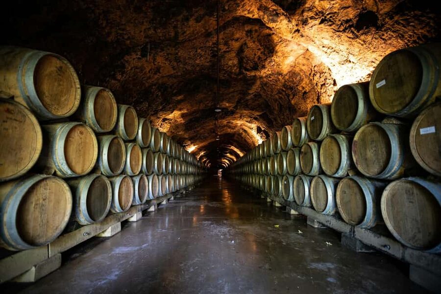 Côte de Beaune Half-Day Wine Tour from Dijon - Two wineries, two tastings, and a lesson in Burgundy