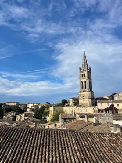 Côte de Beaune Half-Day Wine Tour from Dijon