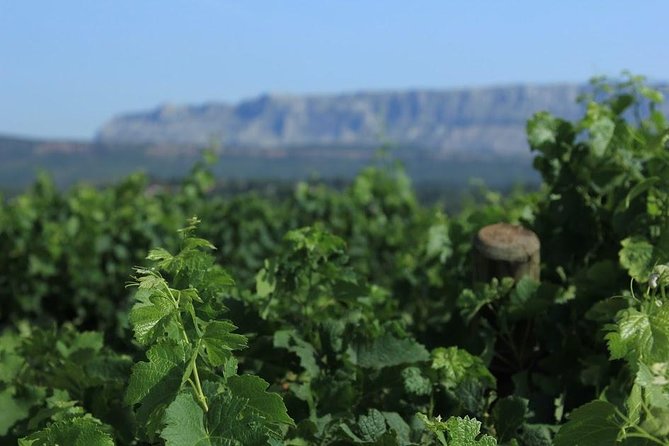 Cotes de Provence Wine Tour from Aix-en-Provence - The drive toward Mont Sainte-Victoire