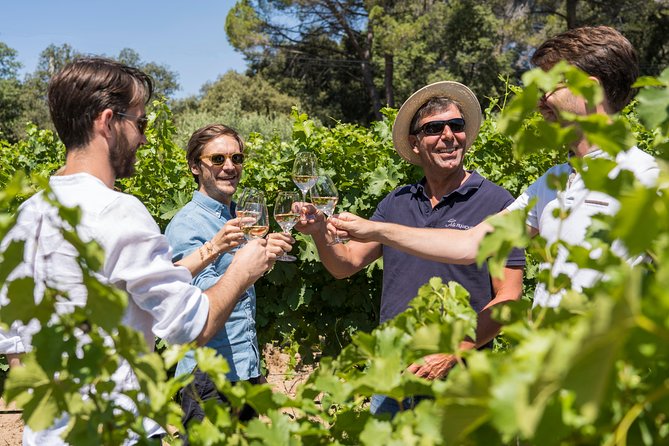 Cotes de Provence Wine Tour from Aix-en-Provence - Practical details before you book