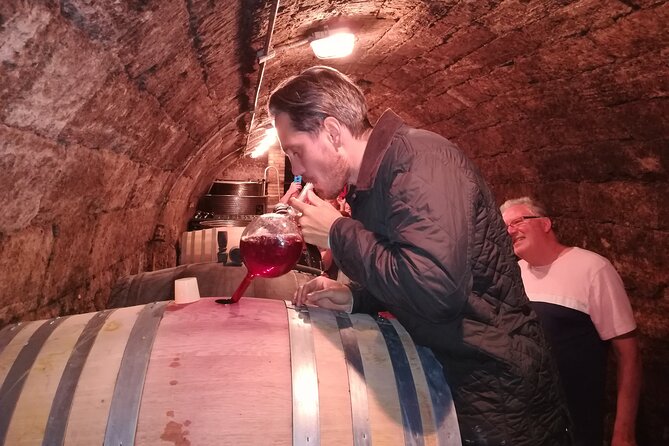 Countryside Half-day Gastro-Wine Tour from Budapest Meal & pickup - Value at about $99 per person