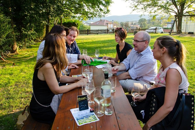 Countryside Half Day Wine Tour near Vienna - Key things to know before booking