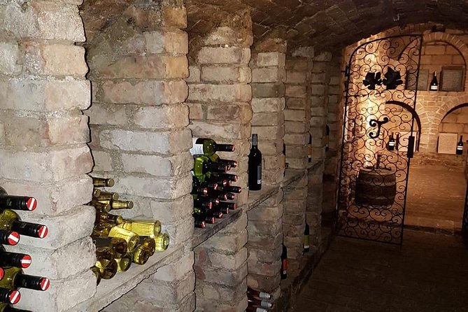 Countryside Half Day Wine Tour near Vienna - From Vienna to the Weinviertel in 30 minutes