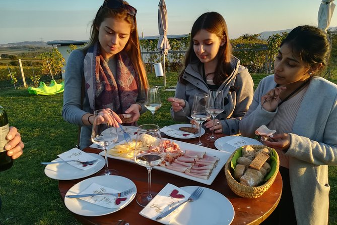 Countryside Half Day Wine Tour near Vienna - Lunch or dinner makes the tour more than a tasting