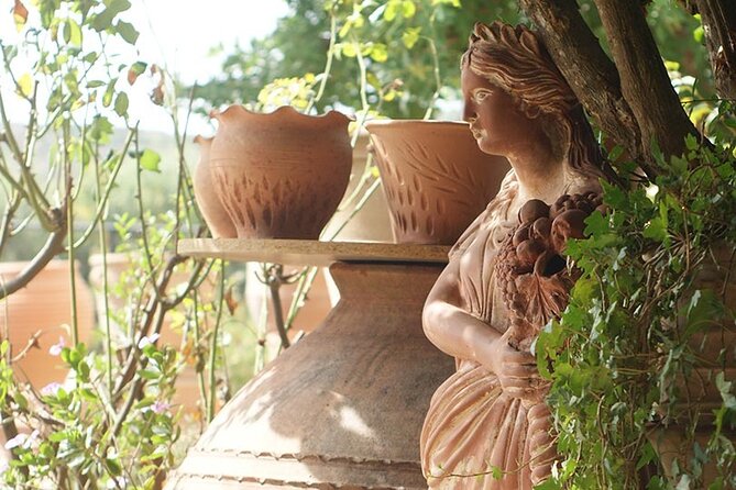 Cretan Wines & Olive oil tour - The treasures of Crete - Who should book this Cretan wine and olive oil tour?