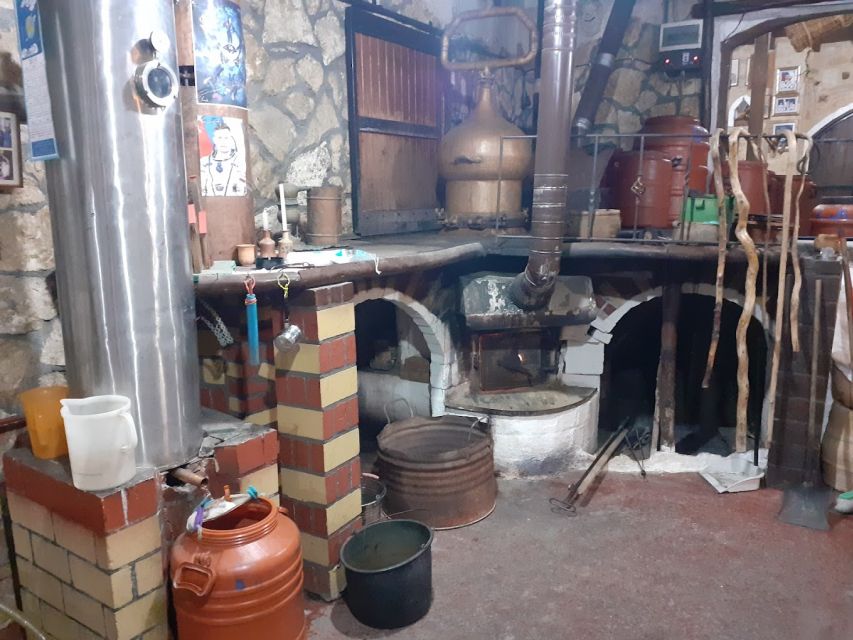Crete: Full-Day Cretan Wines, Olive Oil, Raki and Food Tour - Starting with olive trees near Skalani