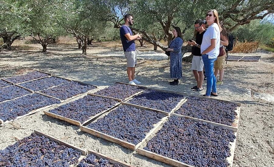 Crete: Knossos Palace, Winery & Olive Oil Tour with Lunch - A village lunch with wine and raki