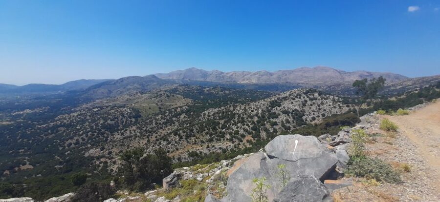 Crete: Olive, Wine, & Raki on a Flavorful Culinary Journey - Who should book this experience
