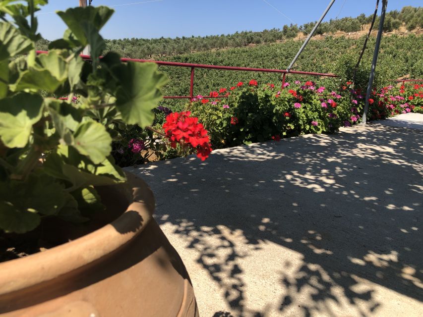 Crete Private Tour: The Secrets of Wine, Olives & Honey - Why this tour gives you more than a tasting session