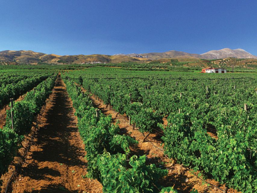 Crete Private Tour: The Secrets of Wine, Olives & Honey - Halepa Monastery and the mountain road