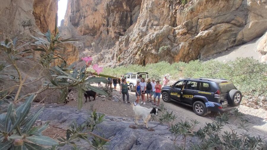 Crete: Trypiti Beach Off-Road South Tour w/ Lunch & Wine - Is $108 a fair price for this full-day outing?