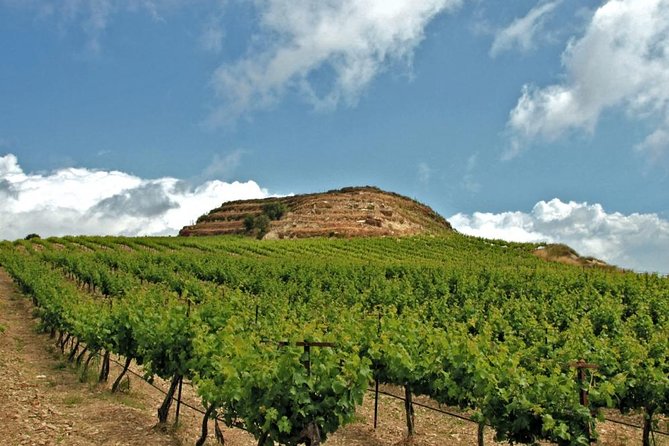 Crete Wine and Olive Oil Tour - Why this half-day outing works so well from Chania