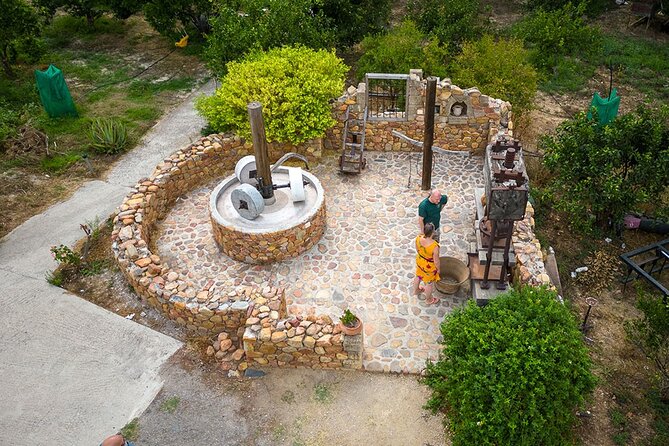 Crete Wine and Olive Oil Tour - Anoskeli Winery and Olive Mill: the strongest olive-oil stop