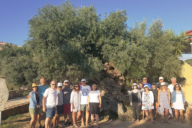 Crete Wine and Olive Oil Tour - The food makes this more than a winery transfer