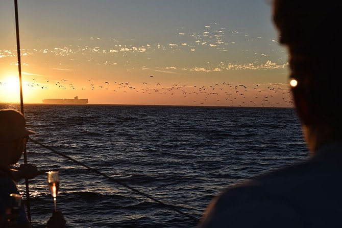 Cruise and Dine Dinner / Cape Town: Sunset Champagne Cruise and 3-Course Dinner - A Cape Town evening that starts at sea