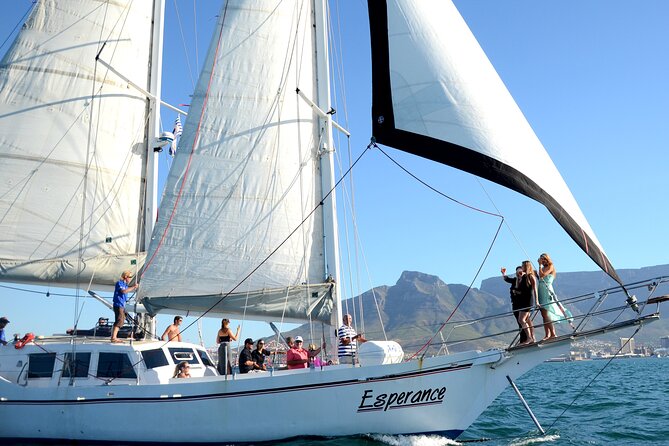 Cruise and Dine Dinner / Cape Town: Sunset Champagne Cruise and 3-Course Dinner - Dinner at the V&A Waterfront after the boat