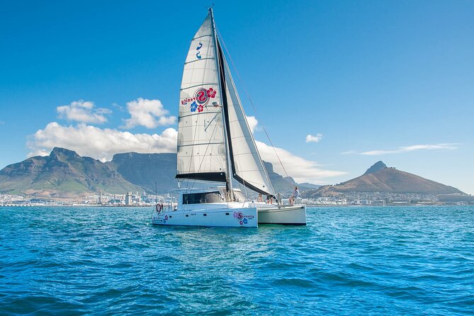 Cruise and Dine Dinner / Cape Town: Sunset Champagne Cruise and 3-Course Dinner - Two glasses of sparkling wine and a sociable crew