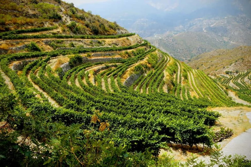 Cyprus: Troodos Mountain Wine Tour with a Local - From the coast to the Troodos Mountains