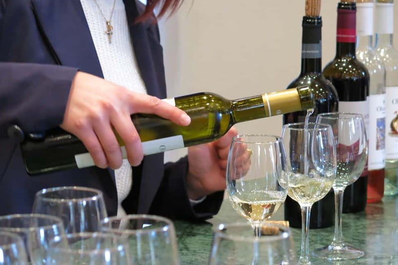 Cyprus: Troodos Mountains Villages and Wineries Tour - Value, timing, and practical details