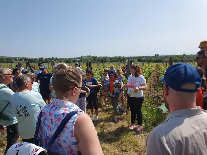 Dare to Alsace Wine with a Feminine Touch - Meeting Muriel at Domaine Gueth